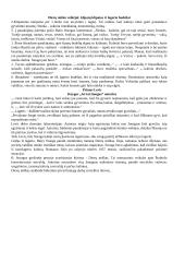 Autoriai ir jų kūrinių analizė 11 puslapis