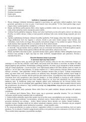 Autoriai ir jų kūrinių analizė 6 puslapis