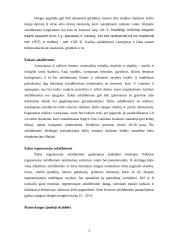 Asfaltbetonio gaminiai 2 puslapis