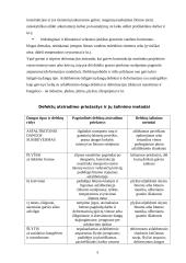 Asfaltbetonio gaminiai 5 puslapis