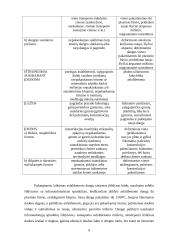 Asfaltbetonio gaminiai 6 puslapis