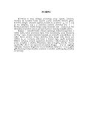 Asmenybė ir socializacija 3 puslapis