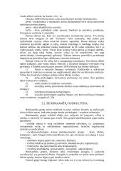 Asmenybė ir socializacija 7 puslapis