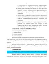 Asmeninio pardavimo metodai 7 puslapis