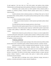 Asmeninio pardavimo metodai 8 puslapis