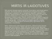 Viduramžių papročiai  4 puslapis