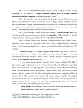 Atlantizmo ir europeizmo santykis vieningos Europos politikoje 16 puslapis