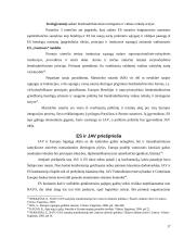 Atlantizmo ir europeizmo santykis vieningos Europos politikoje 17 puslapis