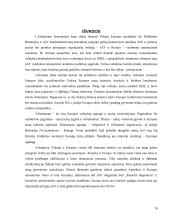 Atlantizmo ir europeizmo santykis vieningos Europos politikoje 19 puslapis