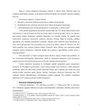 Atlantizmo ir europeizmo santykis vieningos Europos politikoje 7 puslapis