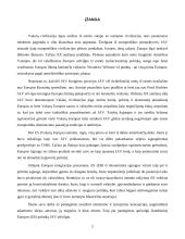 Atlantizmas ir europizmas vieningos Europos politikoje 2 puslapis