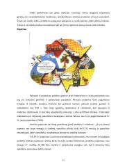 Atliekos ir atliekų tvarkymas 11 puslapis