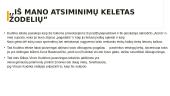 Skaidrės: Vincas Kudirka 8 puslapis