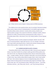 Atliekos ir aplinkos tarša 4 puslapis