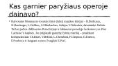 Garnier Paryžiaus opera 9 puslapis