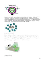 Atmosfera, jos struktūra. Pagrindiniai atmosferos oro teršalai. 13 puslapis