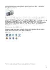 Atmosfera, jos struktūra. Pagrindiniai atmosferos oro teršalai. 14 puslapis