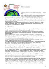 Atmosfera, jos struktūra. Pagrindiniai atmosferos oro teršalai. 20 puslapis