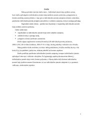 Individuali įmonė kaip teisinė forma 2 puslapis