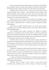 Individuali įmonė kaip teisinė forma 13 puslapis