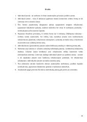 Individuali įmonė kaip teisinė forma 20 puslapis