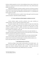 Individuali įmonė kaip teisinė forma 6 puslapis