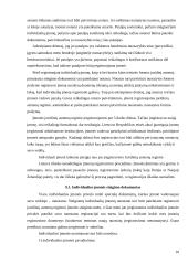 Individuali įmonė kaip teisinė forma 10 puslapis