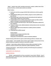 Konspektas - konstitucinė teisė 12 puslapis