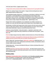 Konspektas - konstitucinė teisė 3 puslapis