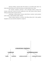 Atmosferos teršimo tipai 3 puslapis