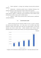 Logistikos procesų valdymo savankiškas darbas 13 puslapis