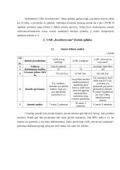 Logistikos procesų valdymo savankiškas darbas 18 puslapis