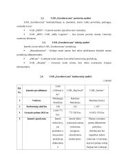 Logistikos procesų valdymo savankiškas darbas 19 puslapis
