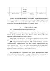 Logistikos procesų valdymo savankiškas darbas 20 puslapis