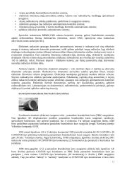 Atominė energetika Lietuvoje 12 puslapis
