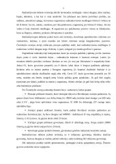 Atominės elektrinės 5 puslapis