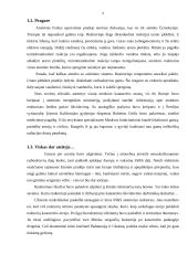 Atominės elektrinės 8 puslapis