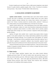 Atominės elektrinės 9 puslapis