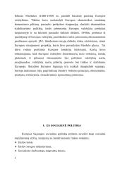 Socialinės apsaugos ekonomikos rašto darbas 3 puslapis