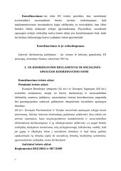 Socialinės apsaugos ekonomikos rašto darbas 6 puslapis