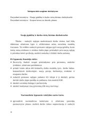 Socialinės apsaugos ekonomikos rašto darbas 9 puslapis