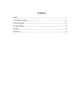 Atraminės sienelės ir lauko židiniai 2 puslapis