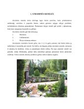 Atraminės sienelės ir lauko židiniai 4 puslapis