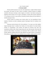 Atraminės sienelės ir lauko židiniai 6 puslapis