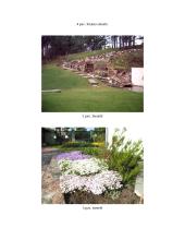 Atraminės sienelės ir lauko židiniai 7 puslapis