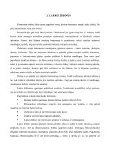 Atraminės sienelės ir lauko židiniai 8 puslapis