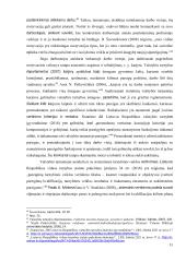 Statutinių valstybės tarnautojų motyvavimo tobulinimo modelis  10 puslapis