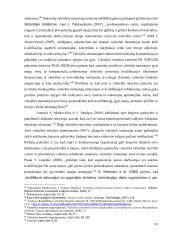 Statutinių valstybės tarnautojų motyvavimo tobulinimo modelis  11 puslapis