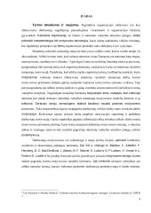 Statutinių valstybės tarnautojų motyvavimo tobulinimo modelis  2 puslapis