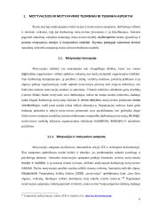 Statutinių valstybės tarnautojų motyvavimo tobulinimo modelis  5 puslapis